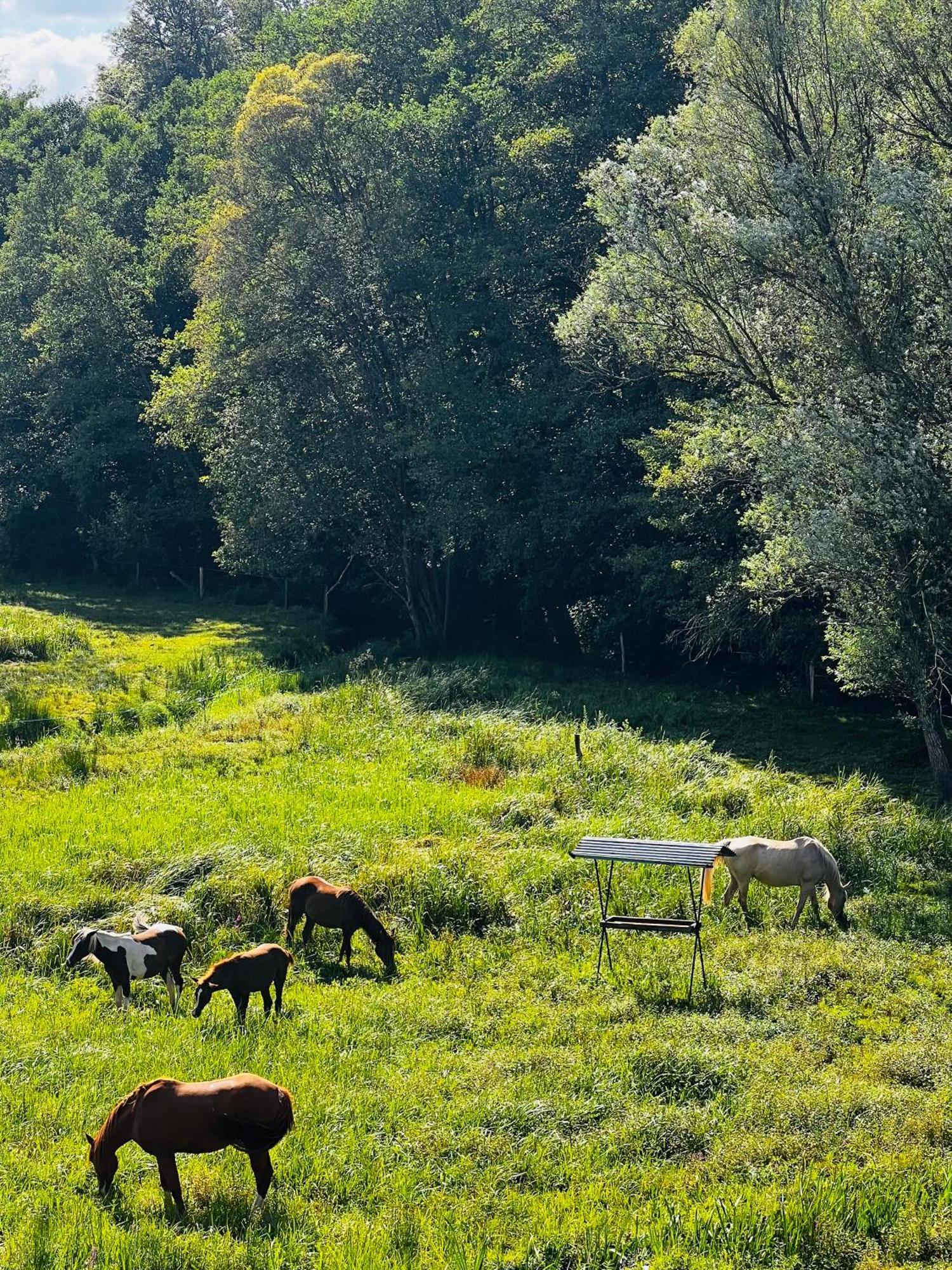 Maison D'Hotes En Pleine Nature Avec Chevaux Soucht Exterior photo