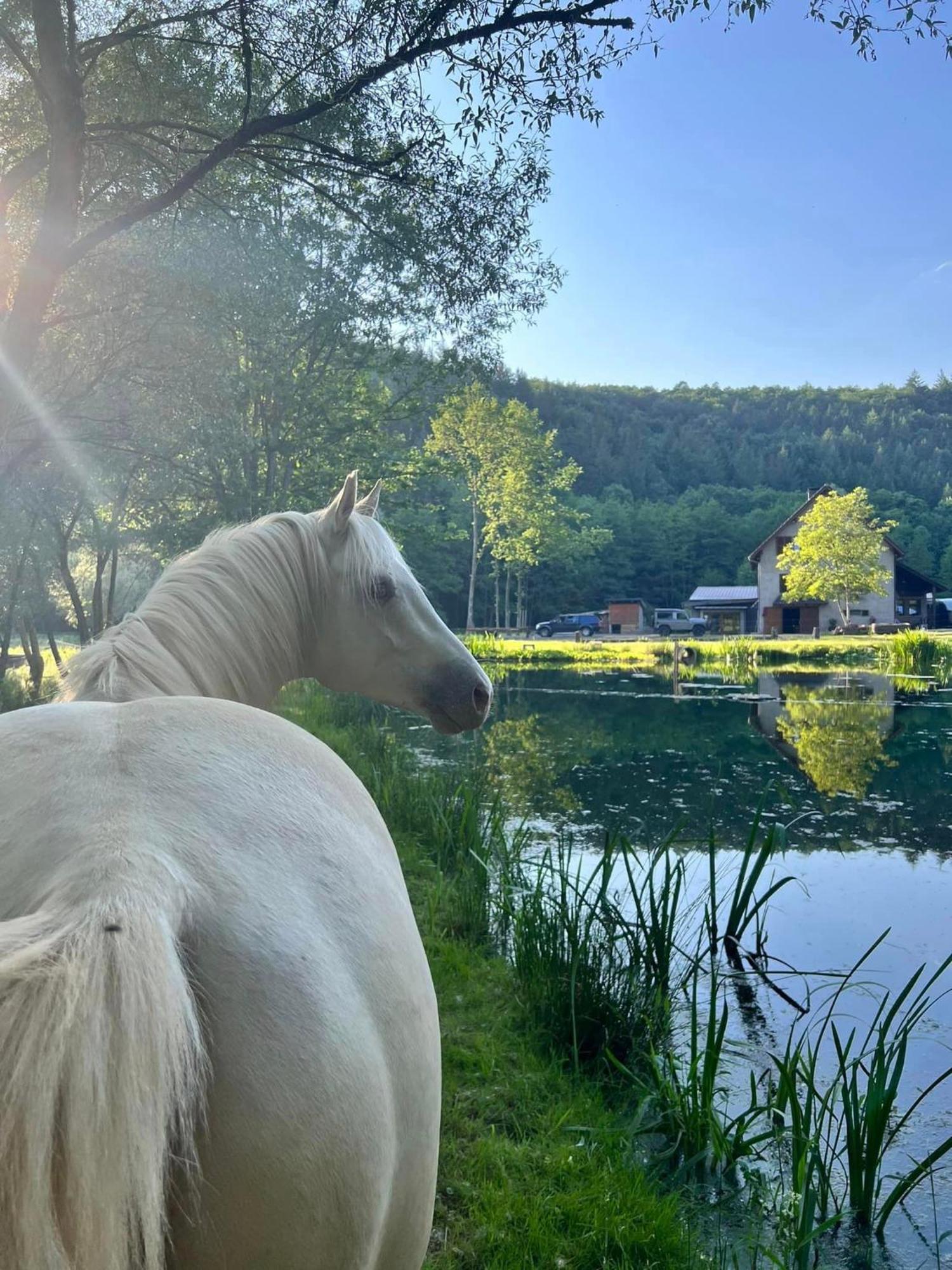 Maison D'Hotes En Pleine Nature Avec Chevaux Soucht Exterior photo