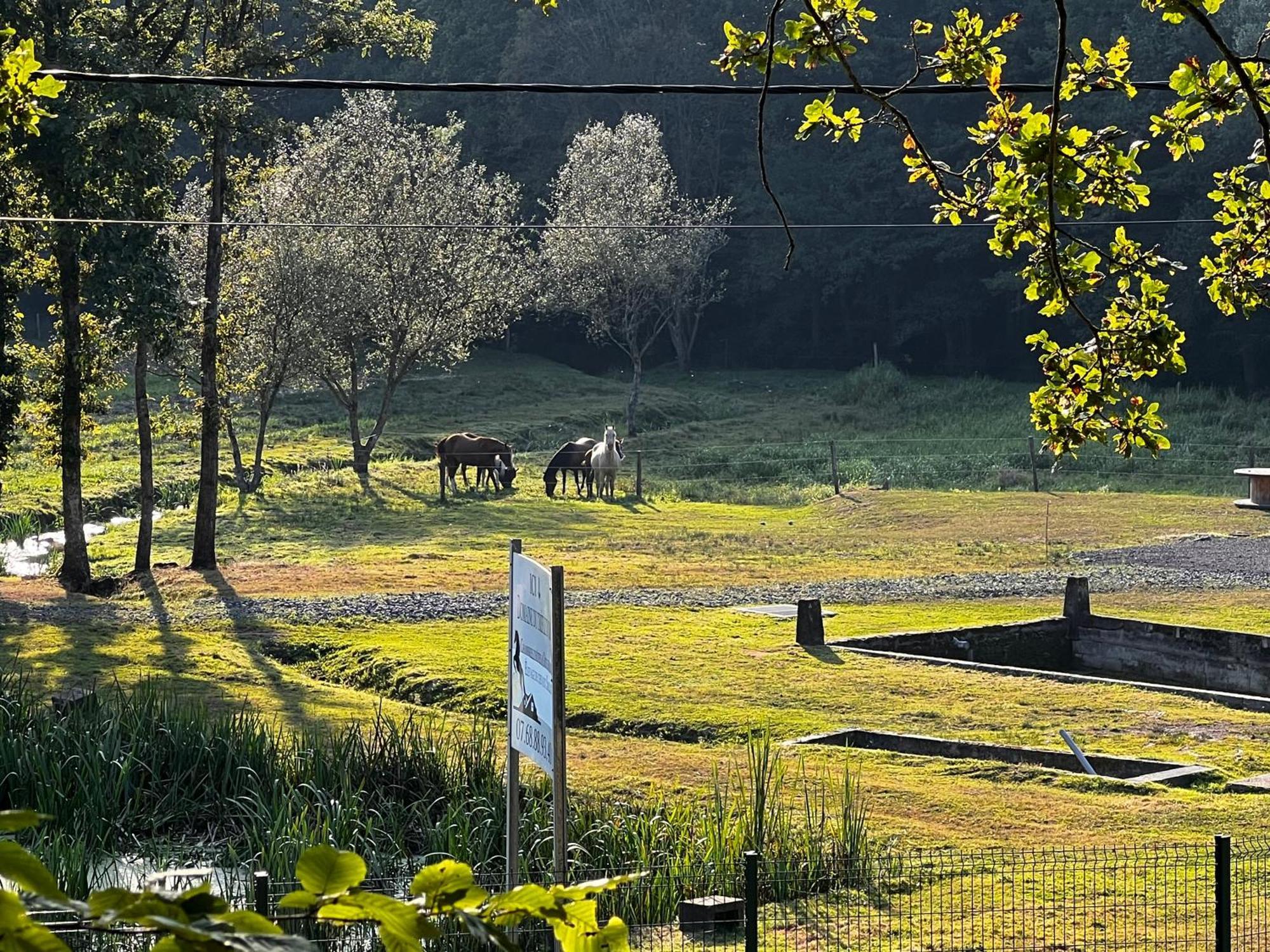 Maison D'Hotes En Pleine Nature Avec Chevaux Soucht Exterior photo